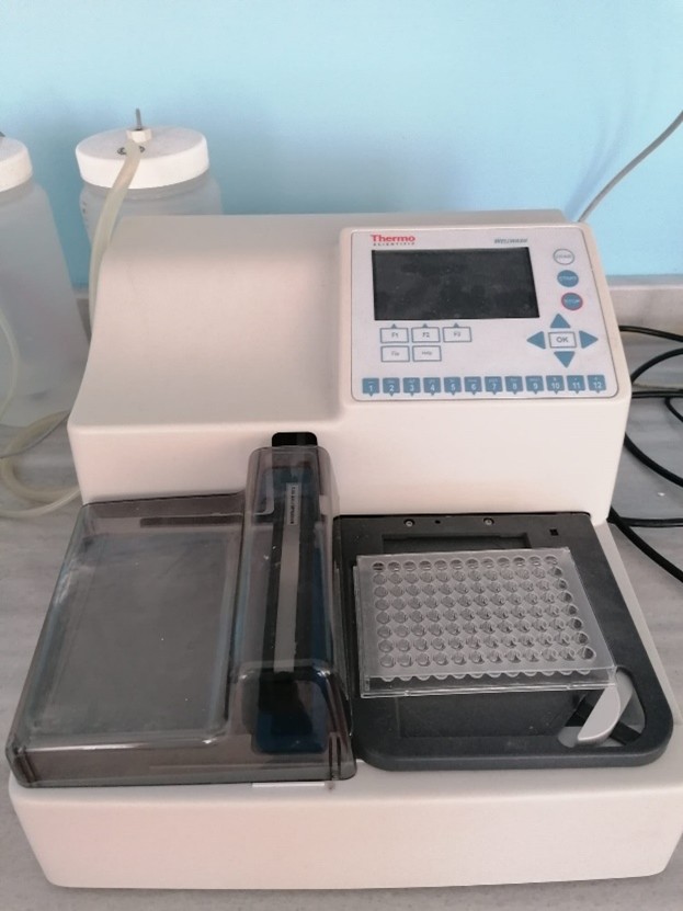 Elisa Washer